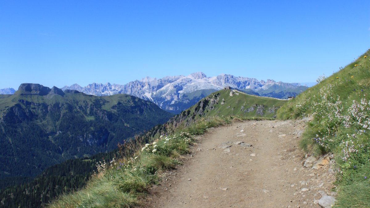 la strada con un cuore