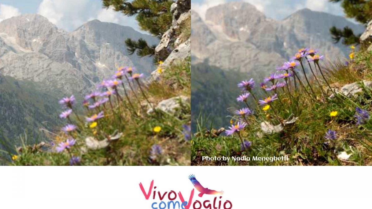segni e prospettiva
