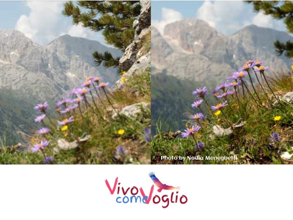 segni e prospettiva