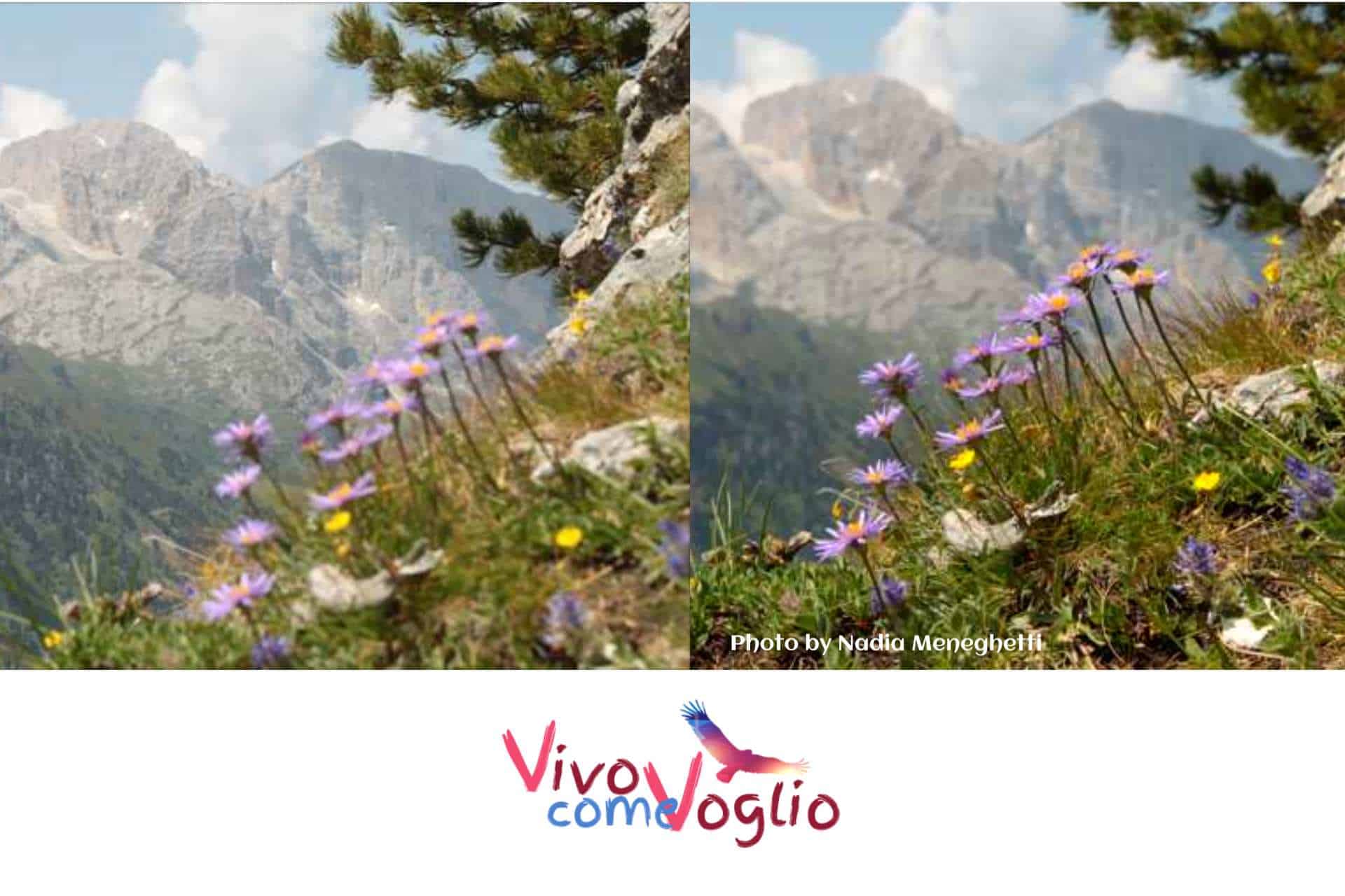 segni e prospettiva