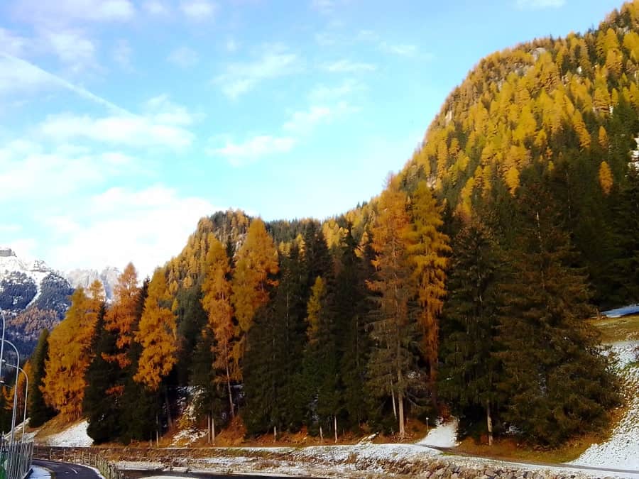 Doss dei Pigui - il colle sacro