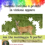 Quando l'occhio è pronto la visione appare