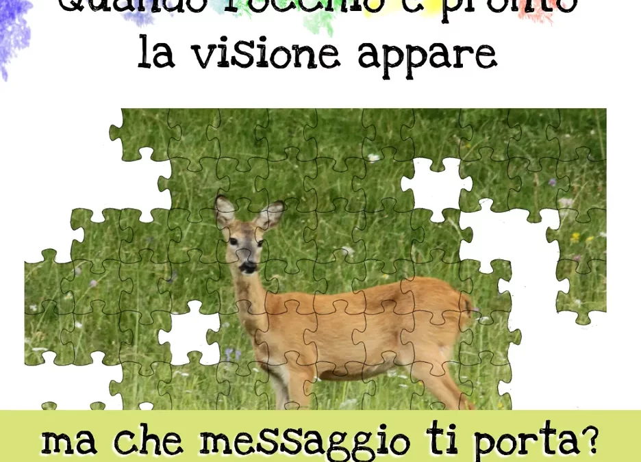 Quando l'occhio è pronto la visione appare