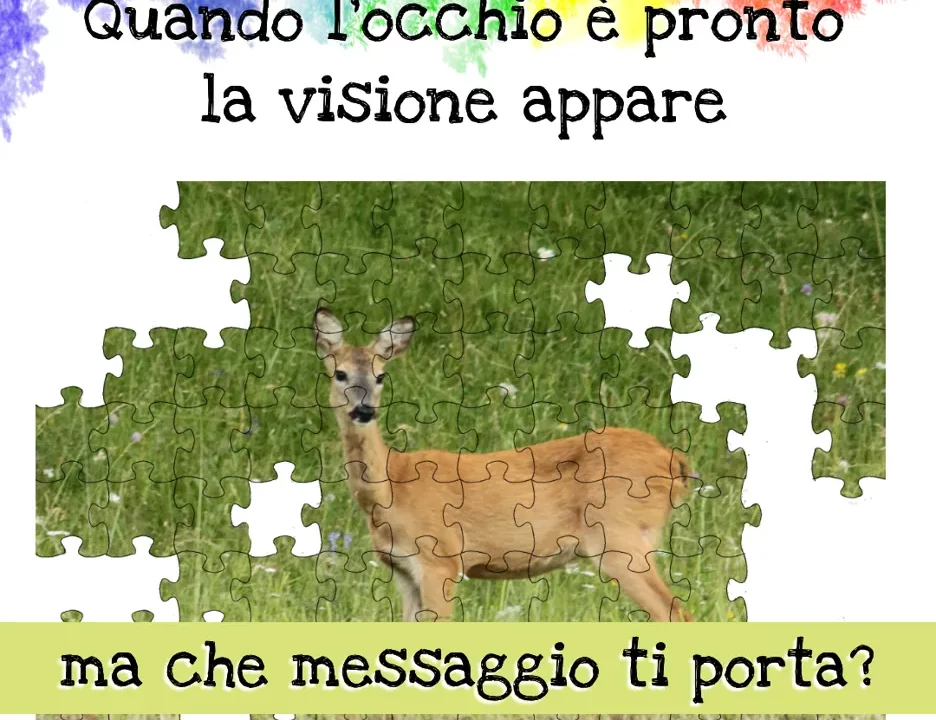 Quando l'occhio è pronto la visione appare