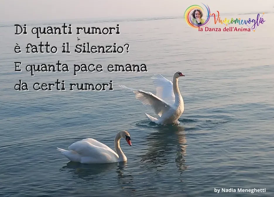 i rumori del silenzio