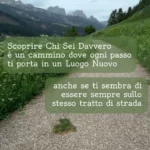 sei in cammino: non fermarti