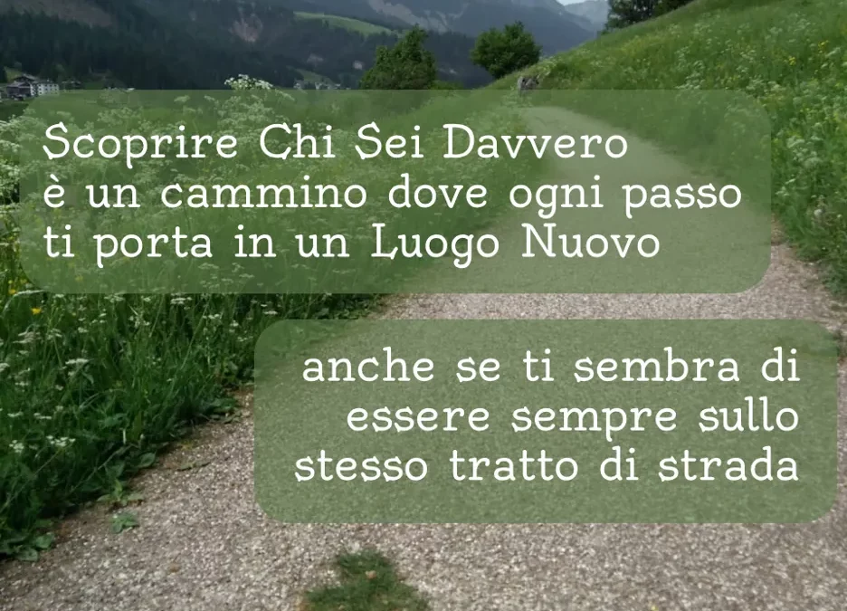 sei in cammino: non fermarti