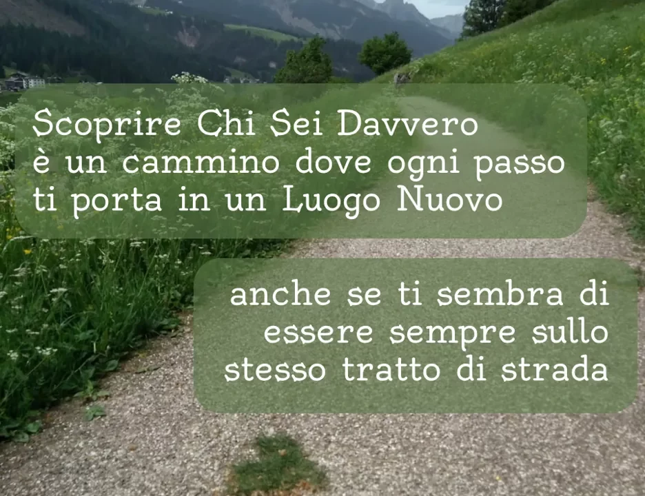 sei in cammino: non fermarti