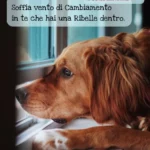 Soffia vento di cambiamento per la Ribelle