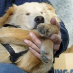 Entra nella tua pace e fatti un regalo: accorgiti di te